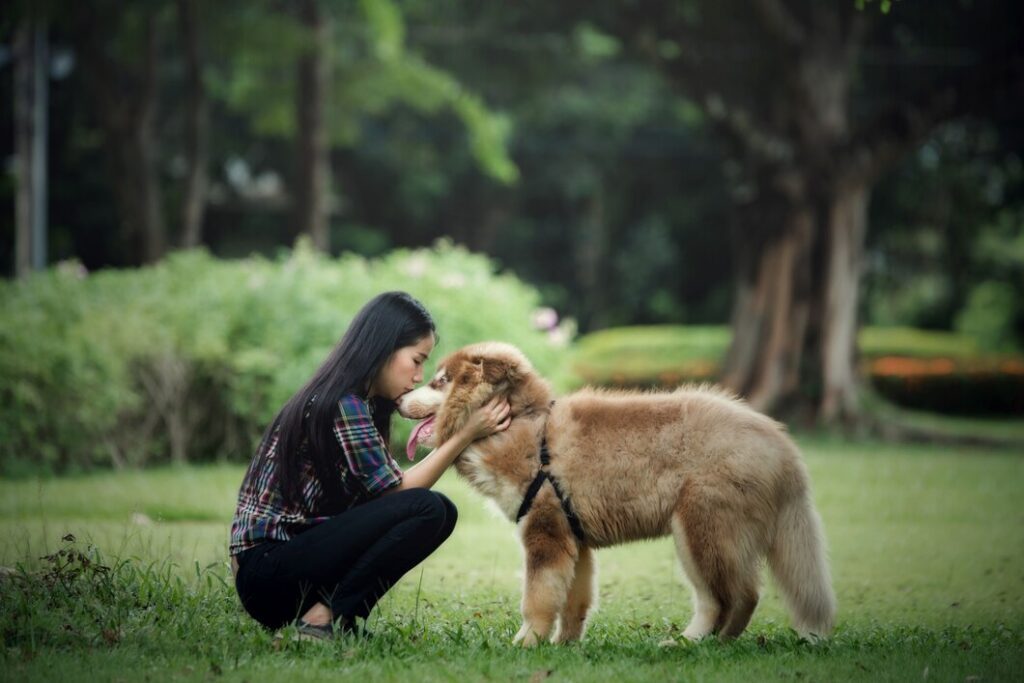 beautiful young woman playing with her little dog park outdoors lifestyle portrait 1150 16722